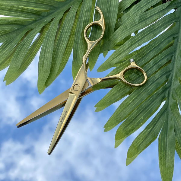 professional hair scissors